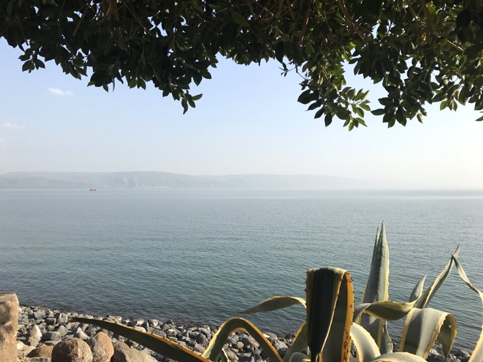 Israel galilee sea of landscape
