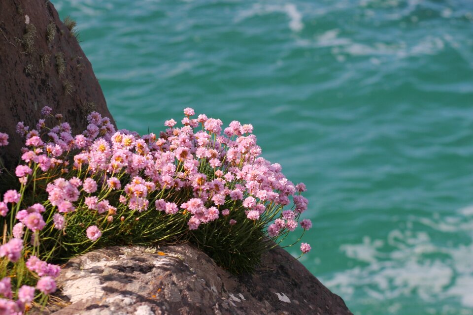 Sea beach water