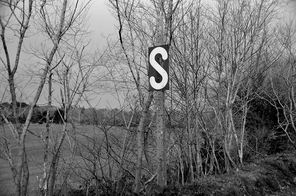 Nature field black and white
