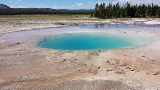 Spring yellowstone