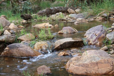Nature country outdoor