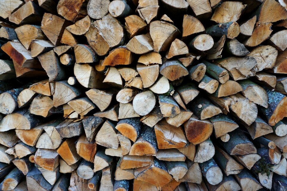 Timber background nature