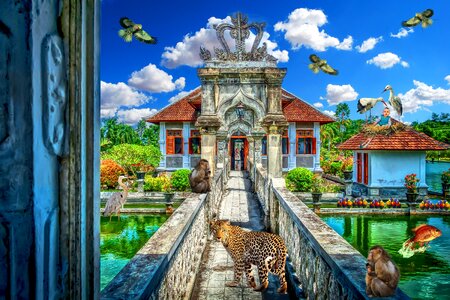 Animals composite