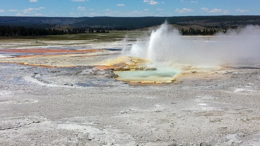 Spring yellowstone