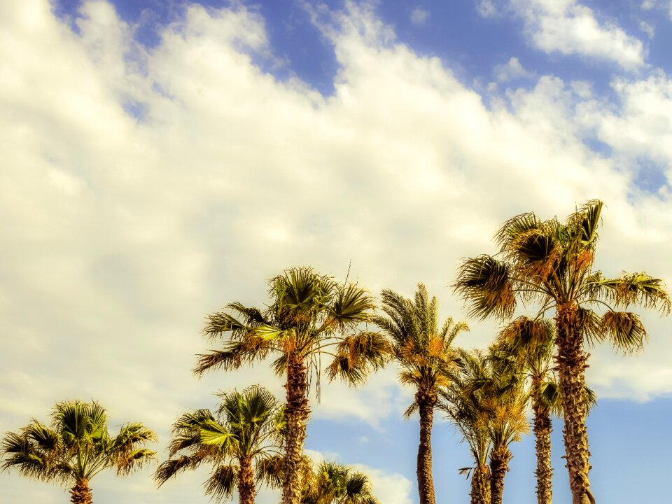 Clouds scenery tropical