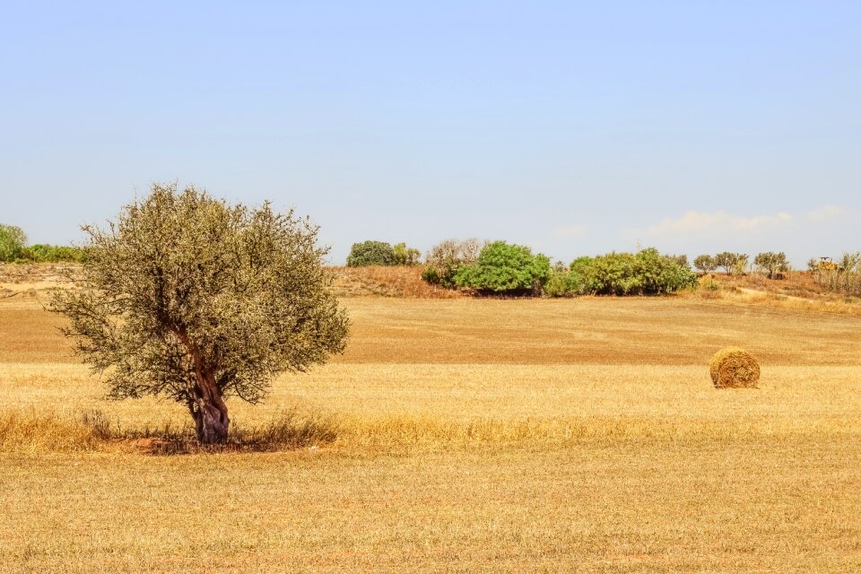 Landscape countryside straw