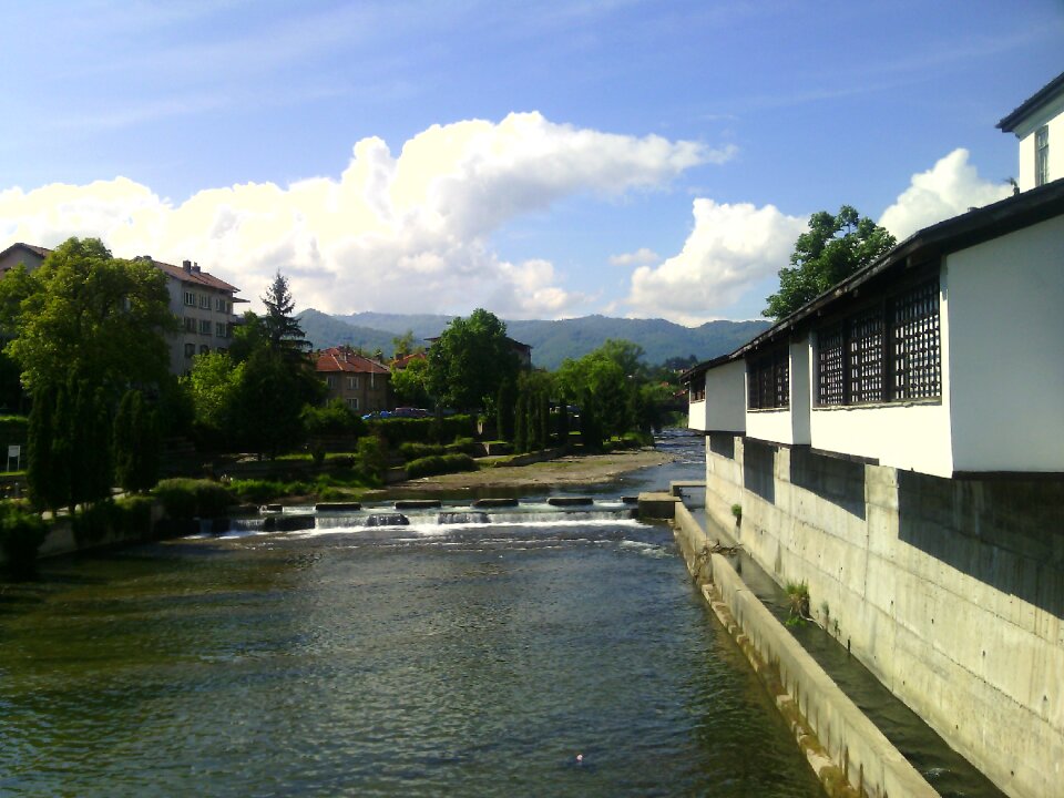 Water timber river