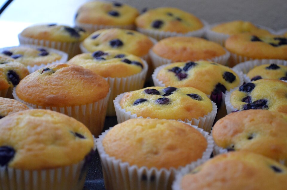 Blue berry muffin