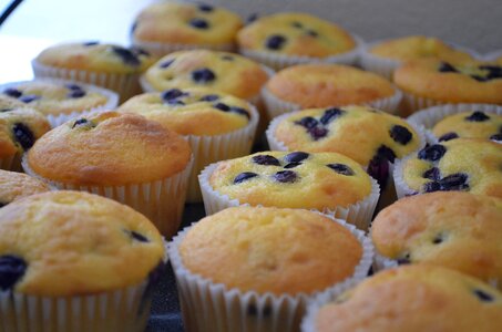Blue berry muffin photo