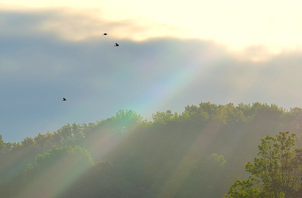 Sunny bright morning photo