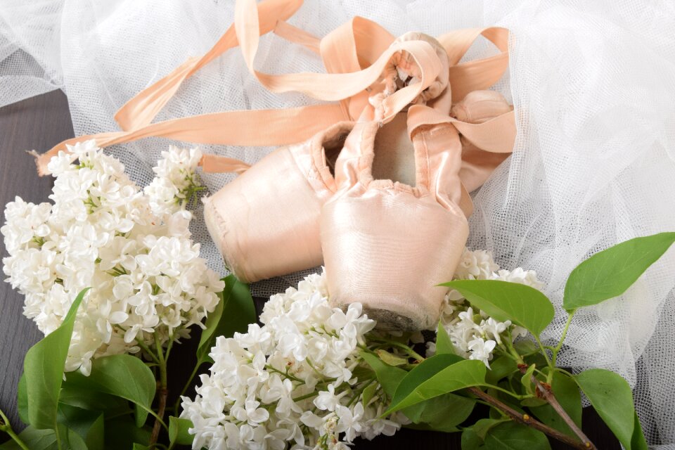 Classic dance shoes