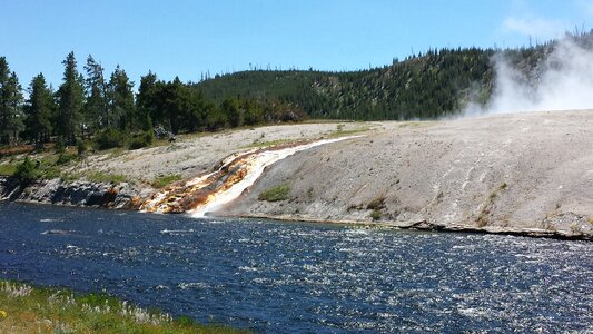 Spring yellowstone