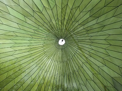 Colorful color green umbrella
