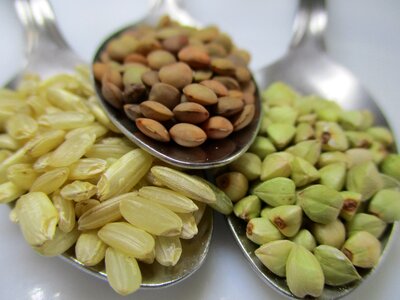 Lentils cereals legumes