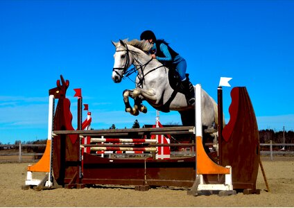 Equine jumping rider