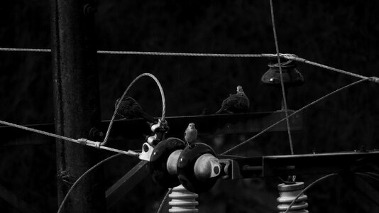 Background wallpaper b w