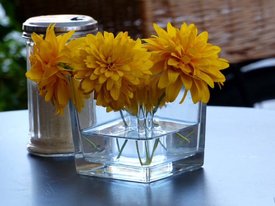 Nice ambience table flowers blossom sugar