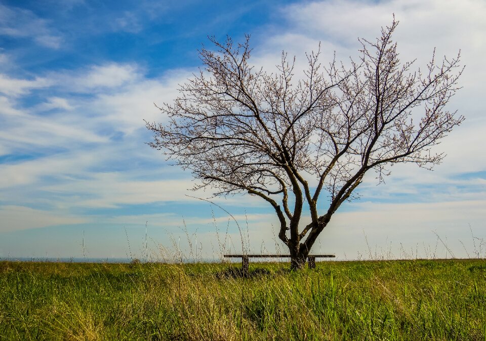 Bench summer sky