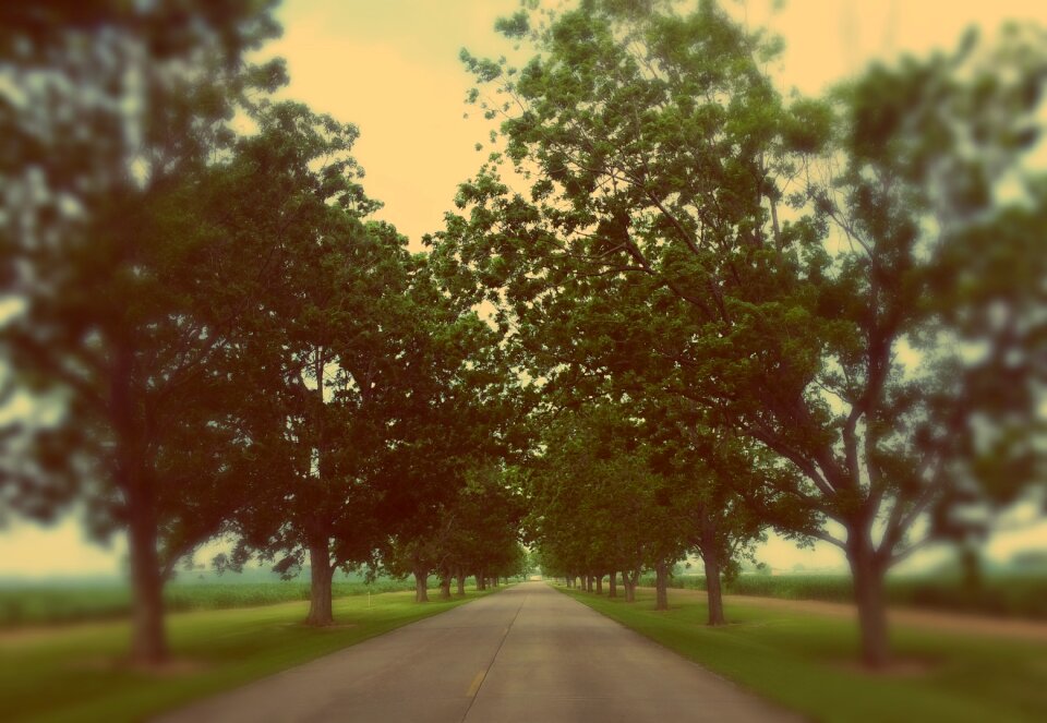 Nature travel way