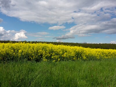 Away the merry month of may