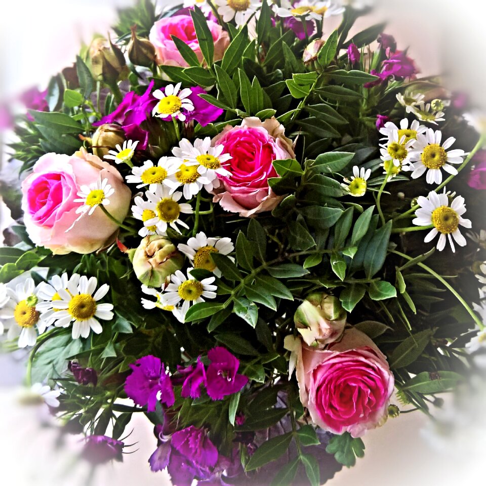 White purple summer flowers bound