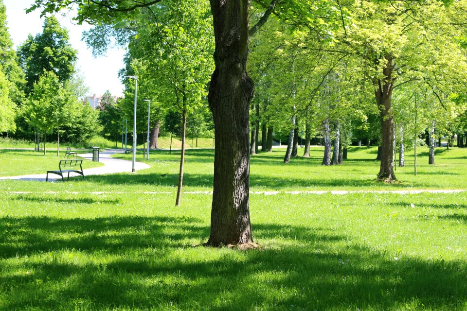 Stromovka spring landscape