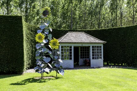 Summerhouse grass yew hedge