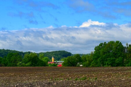 Spring planting nature photo