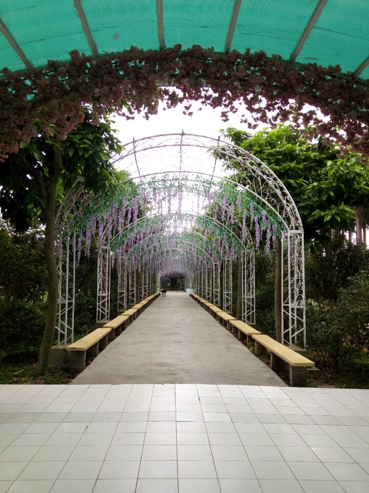 Beautiful walkway romantic