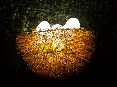 Nest life egg