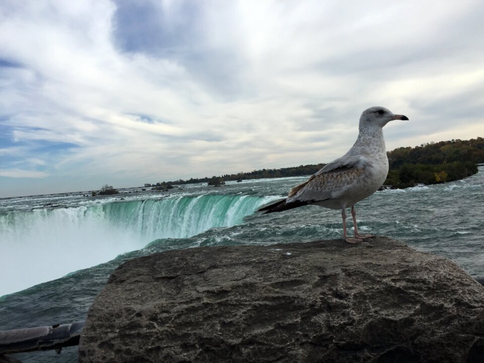 Niagarafalls ontario canada