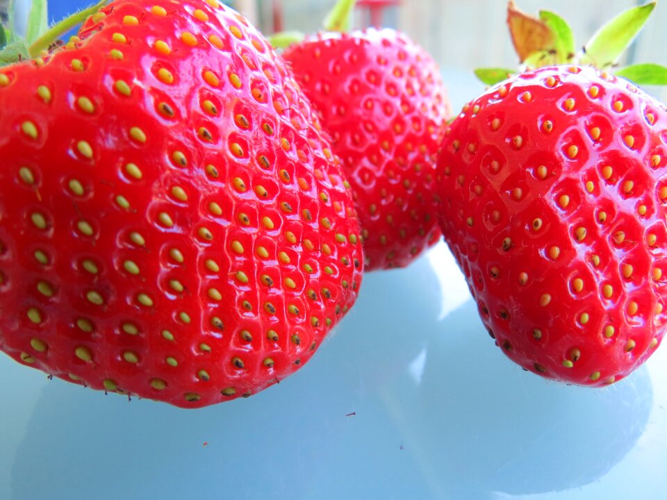 Close up field berry