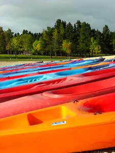 Sky trees kayak