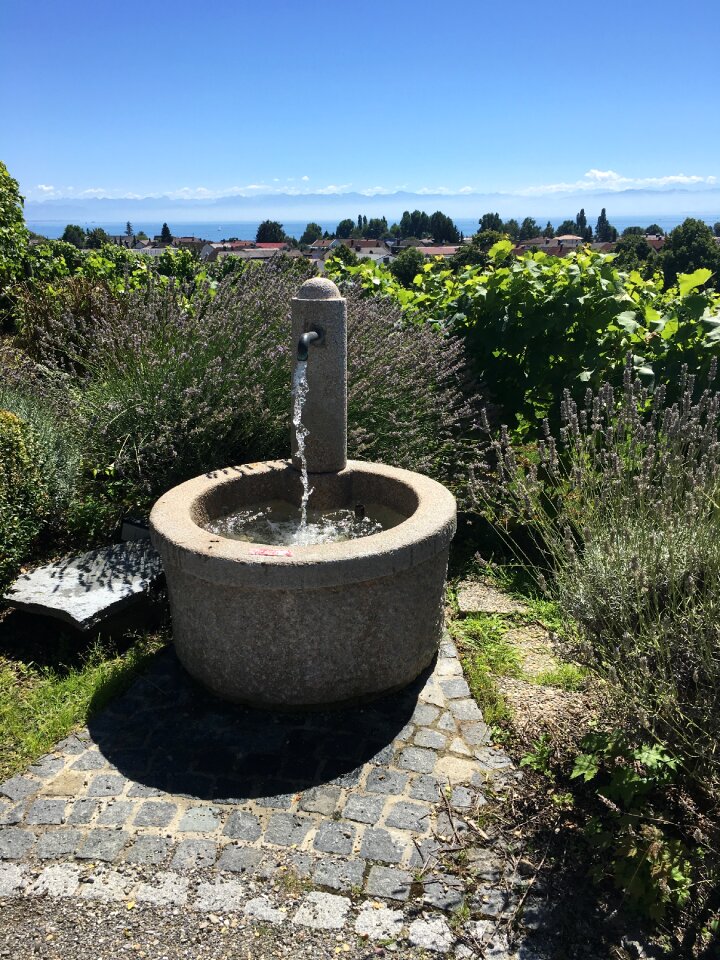 Fountain wisdom sky