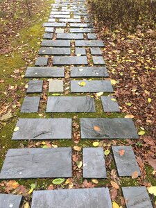 Stone path the i ching trail autumn is not