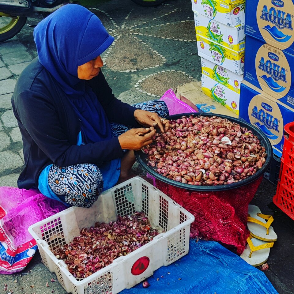 Hollidays indonesia