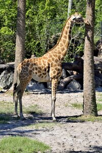 Zoo reserve outdoors