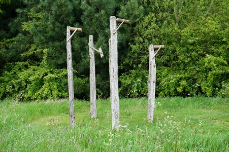 Craft nature outdoor
