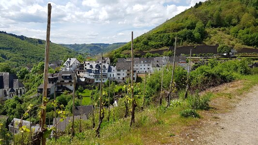 Town of klotten mosel wine