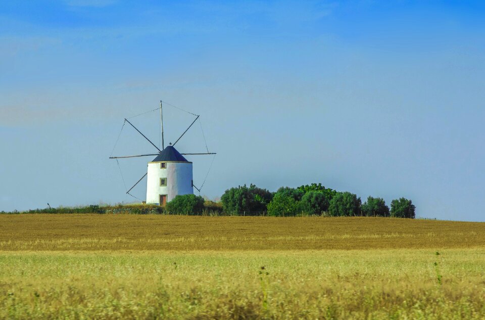 The grain harvest portugal