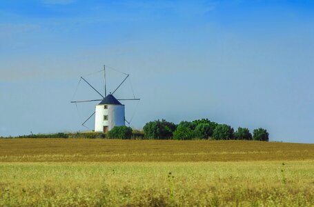 The grain harvest portugal