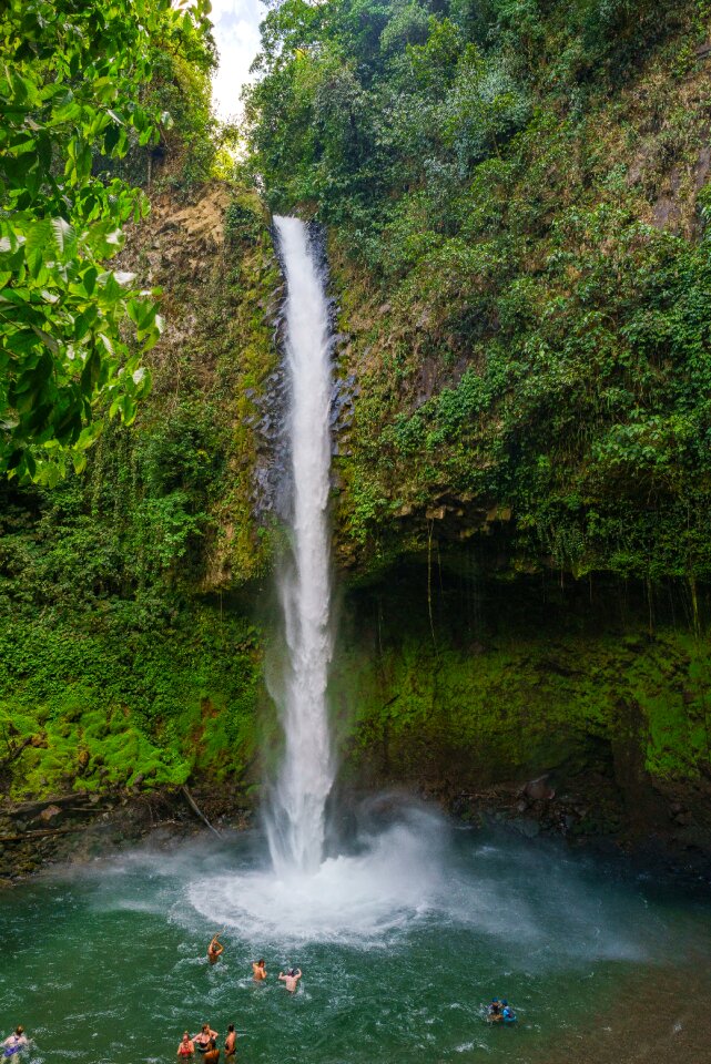 Rain forest water waterfall