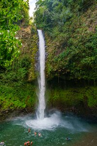 Rain forest water waterfall