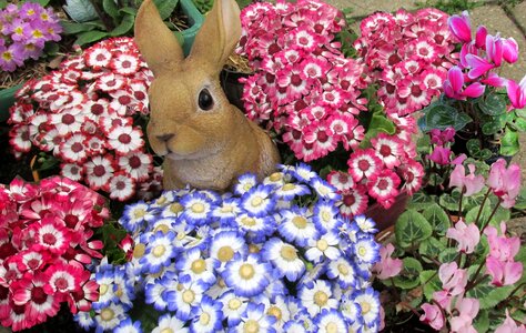 Rabbit statue garden