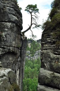 Stones cliffs national park photo