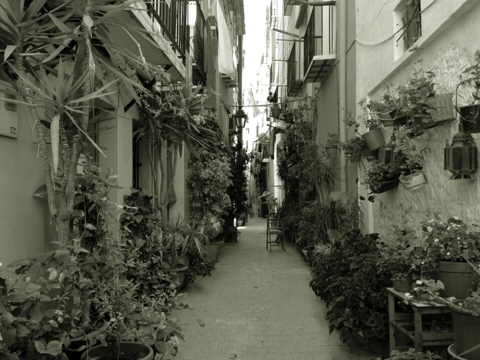 Alley carreró of the pal costa