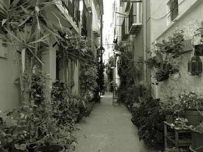 Alley carreró of the pal costa