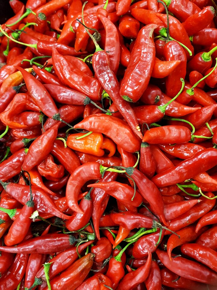Plants food red