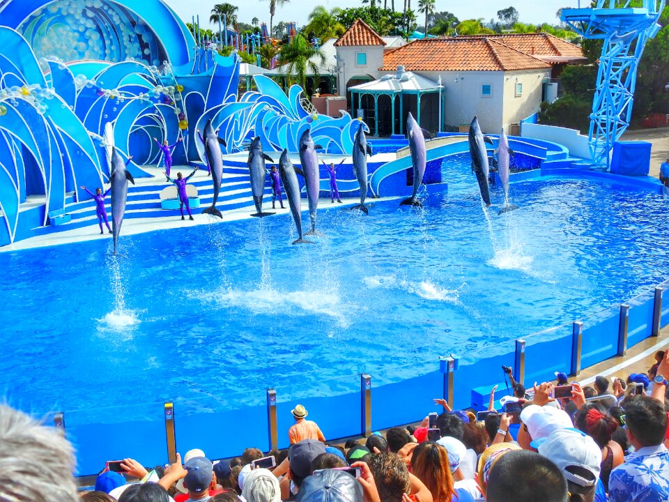 Marine jump aquarium