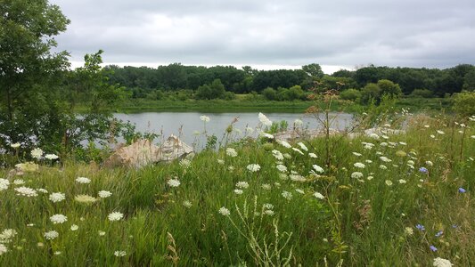 Tranquil rural nature